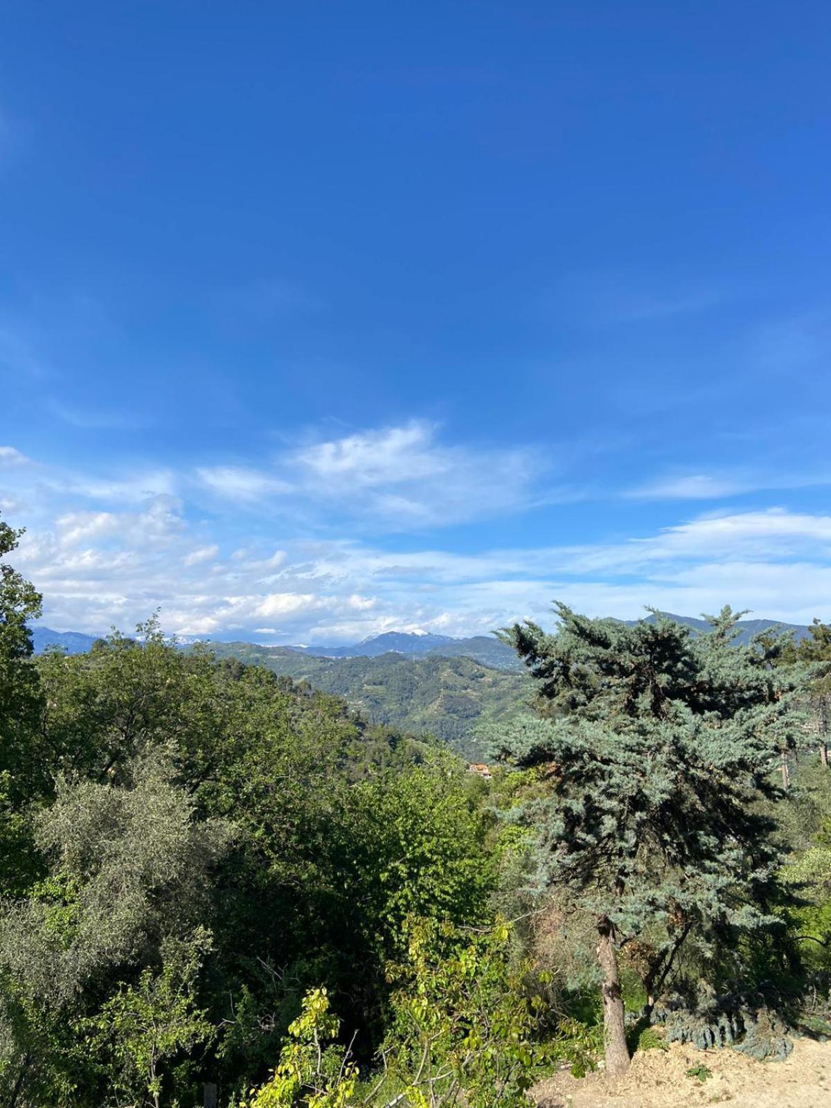 La Casa Degli Ulivi Villa Camporosso  Buitenkant foto